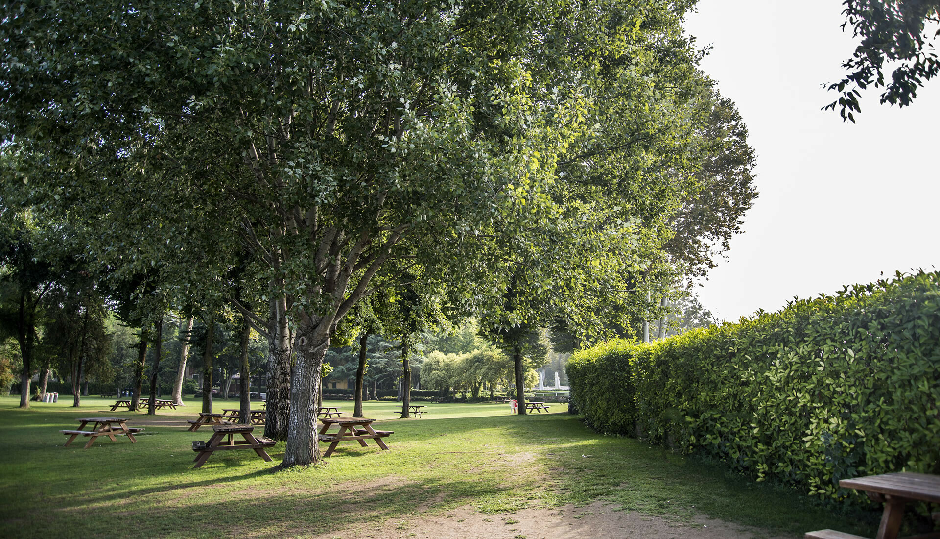 termedigiunone