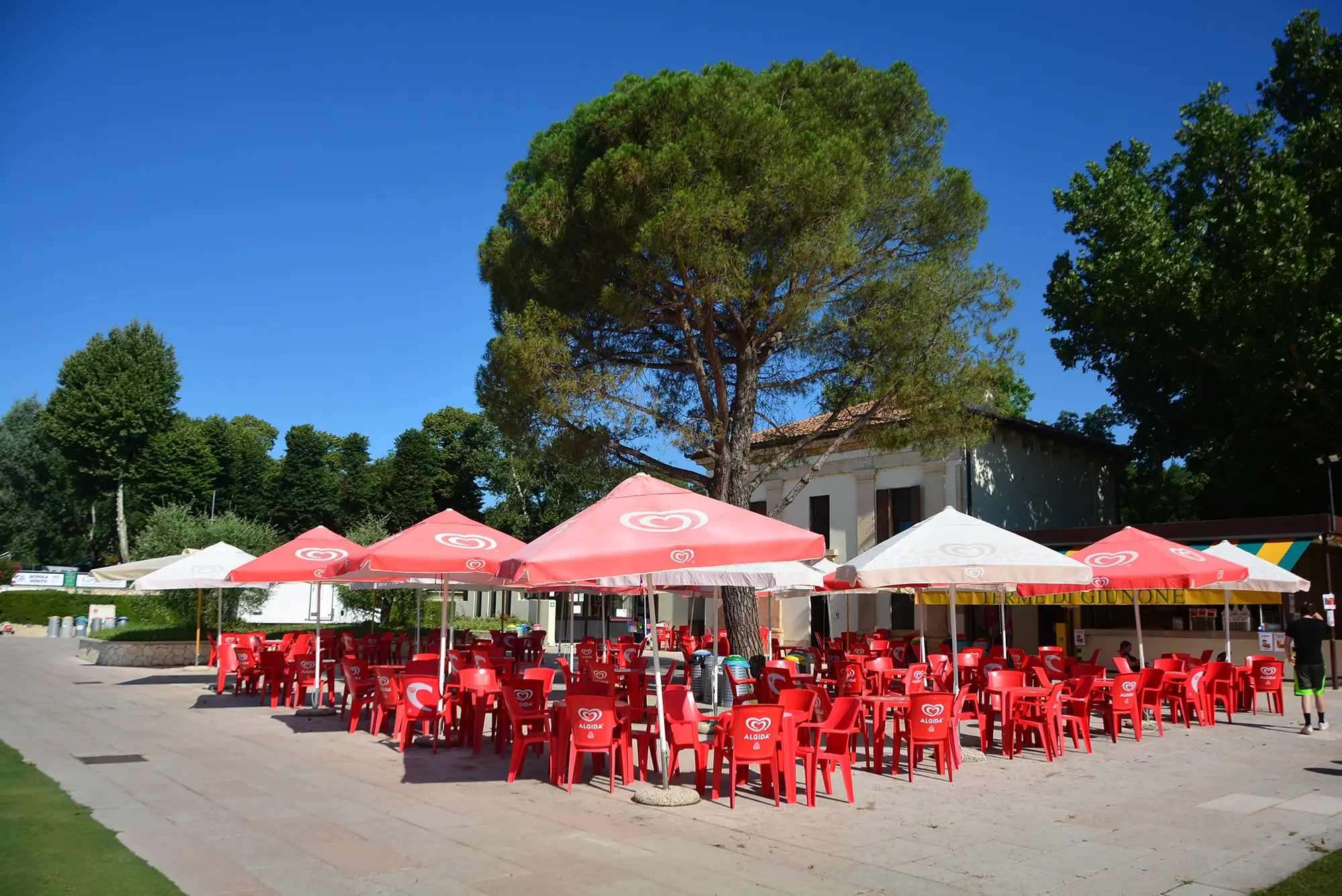 Angolo bar