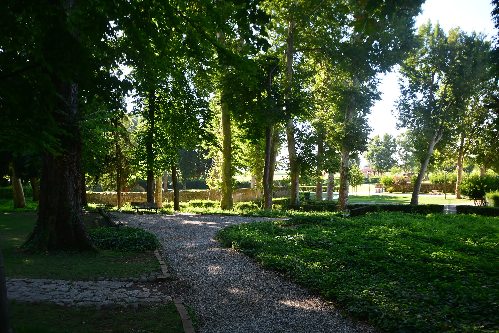 Parco con alberi secolari